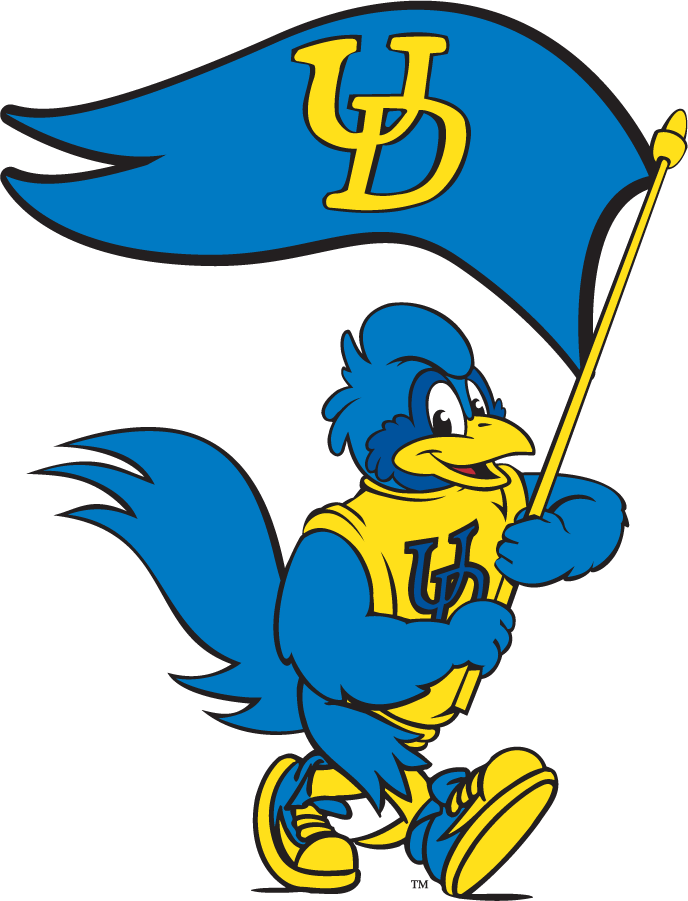 Delaware Blue Hens 1999-2009 Mascot Logo v16 iron on transfers for T-shirts